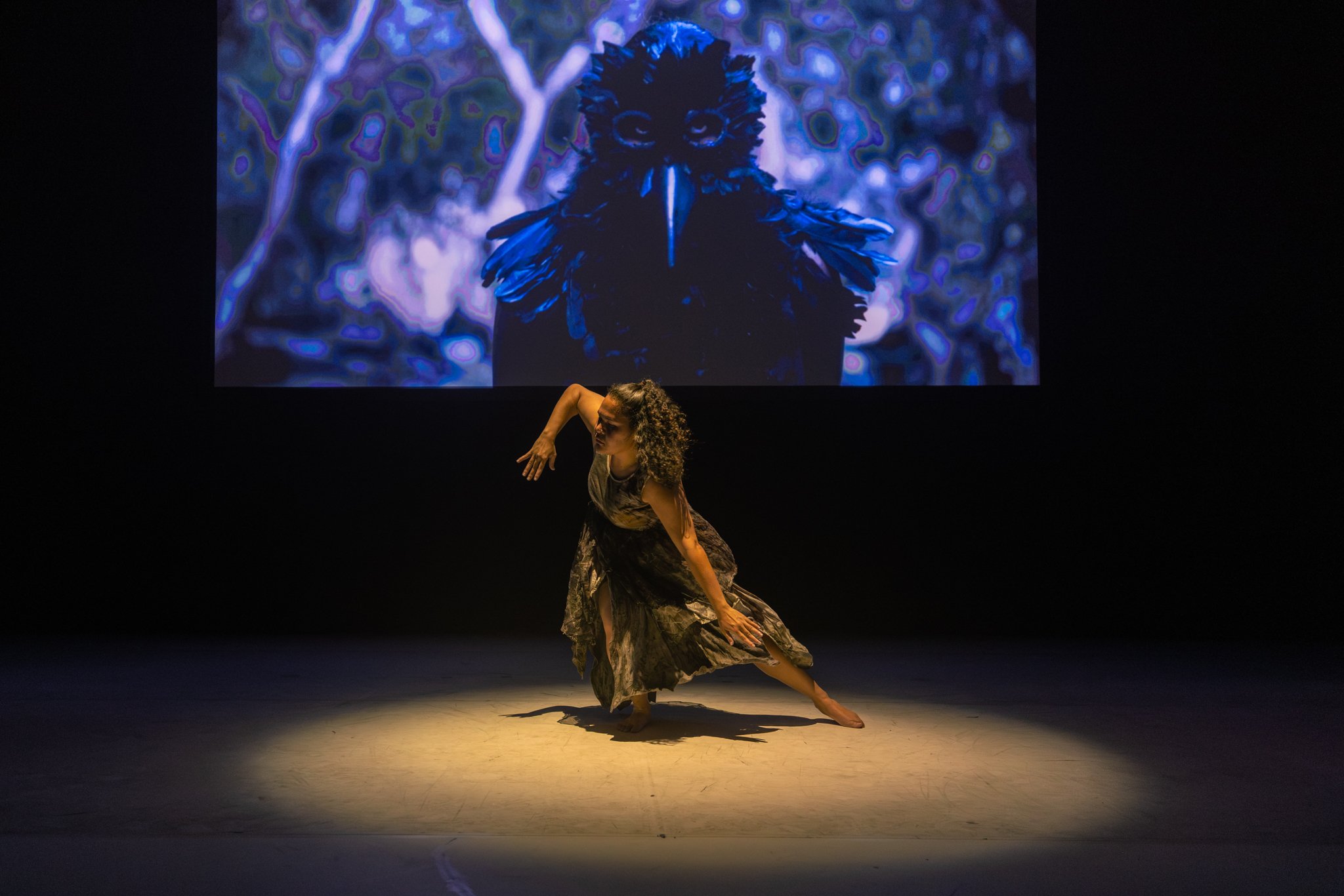 Sydney Opera House 2025 
Photography by Joseph Meyers