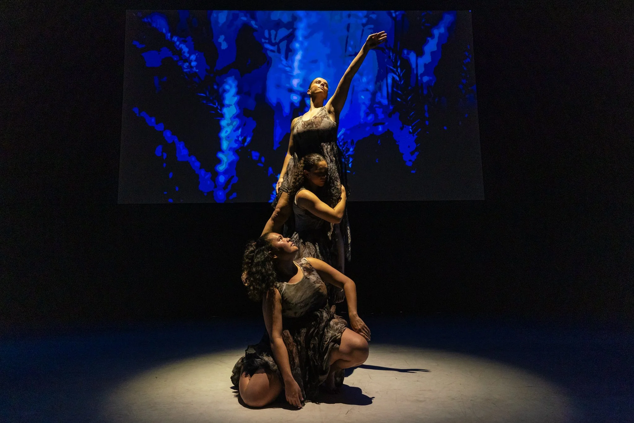 Sydney Opera House 2025 
Photography by Joseph Meyers