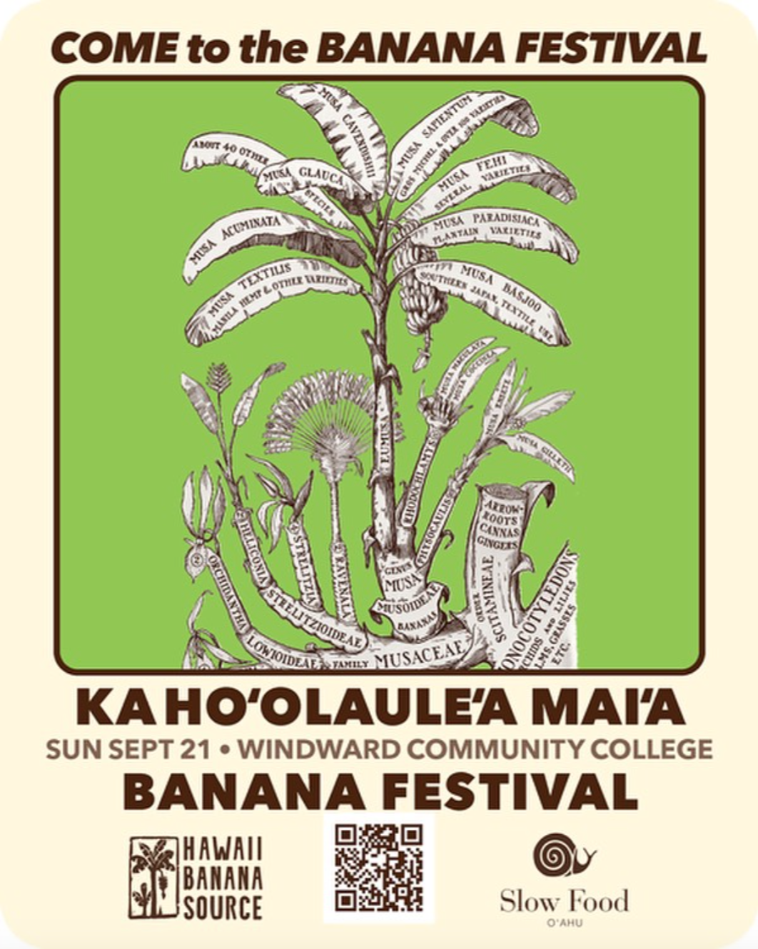 Banana Festival 2025