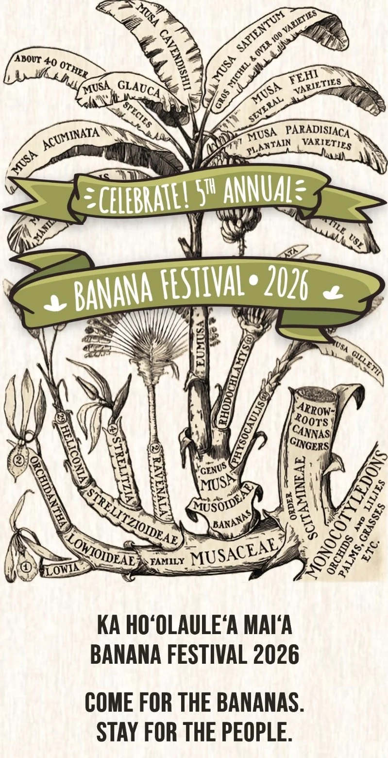 Banana Festival 2026