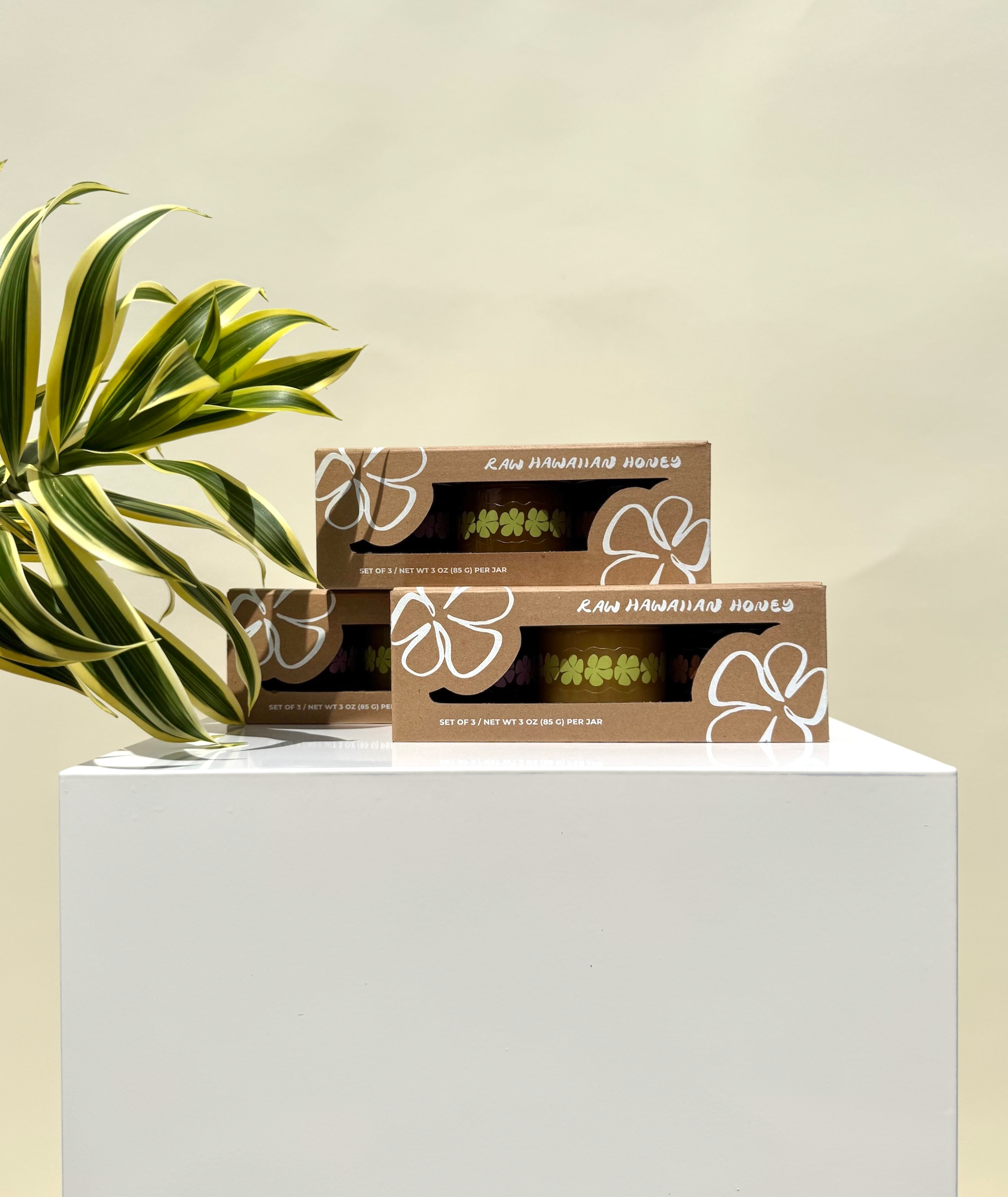 Gift Set 4.png