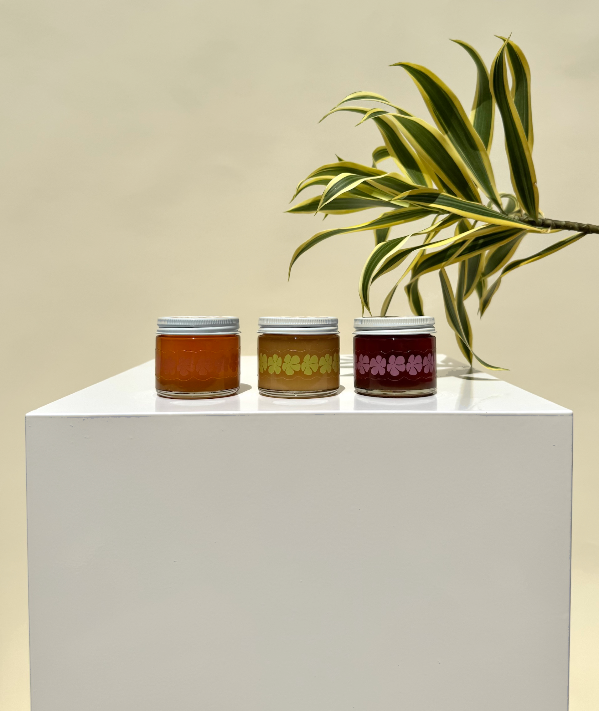Gift Set 7.png