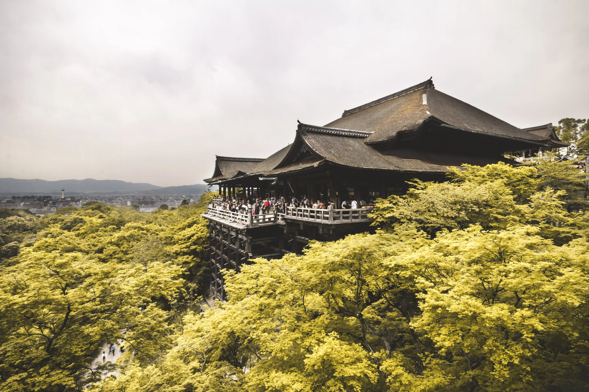 Kiyomizu+Dera+temple.jpeg