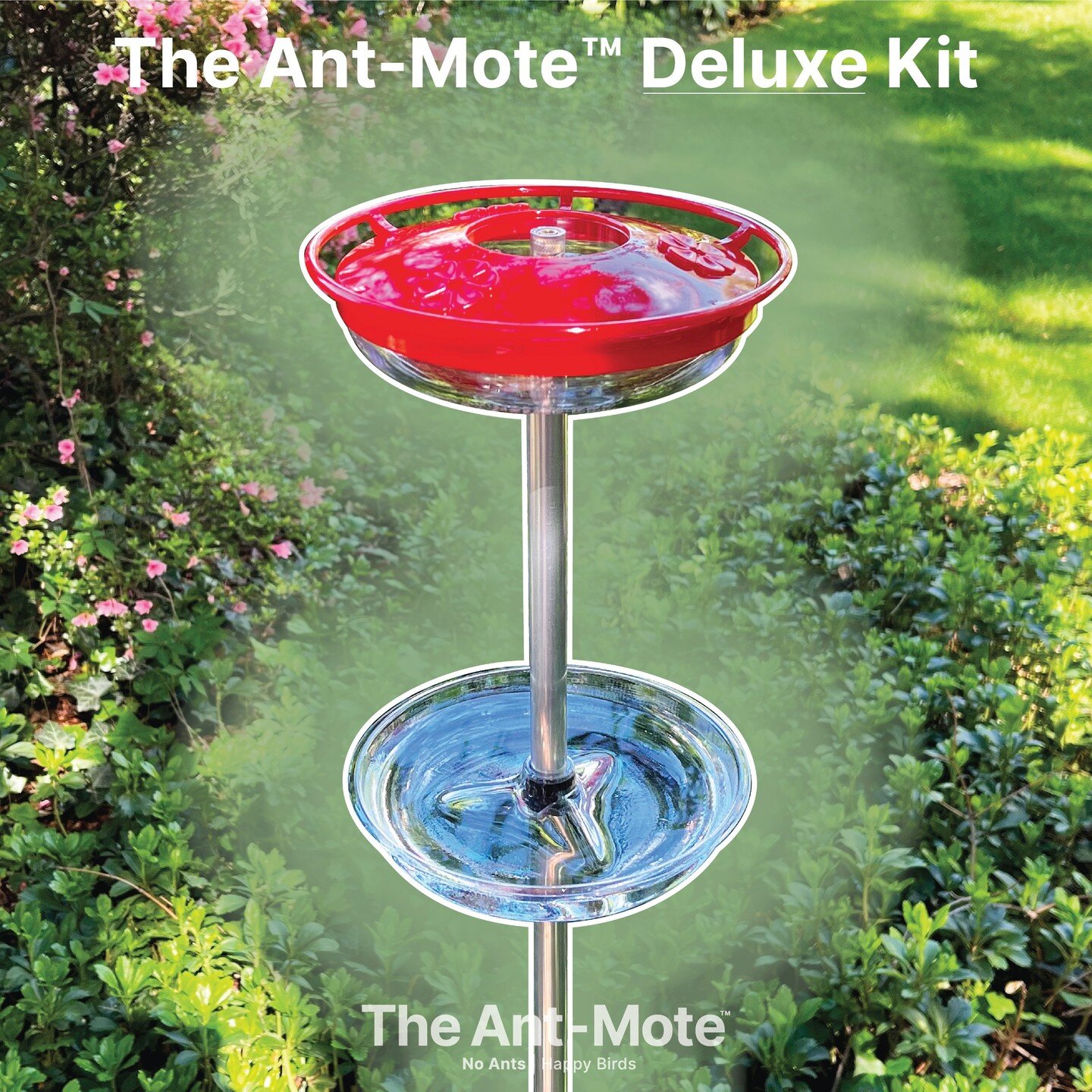 We are thrilled to announce that we are now selling a deluxe kit for The Ant-Mote&trade;!!! The kit includes:

The Ant-Mote&trade;
The Ant-Mote&trade; 6-foot, 2-part aluminum pole
Aspects' Mini HighView 8oz Hummingbird Feeder. 

Every product in this