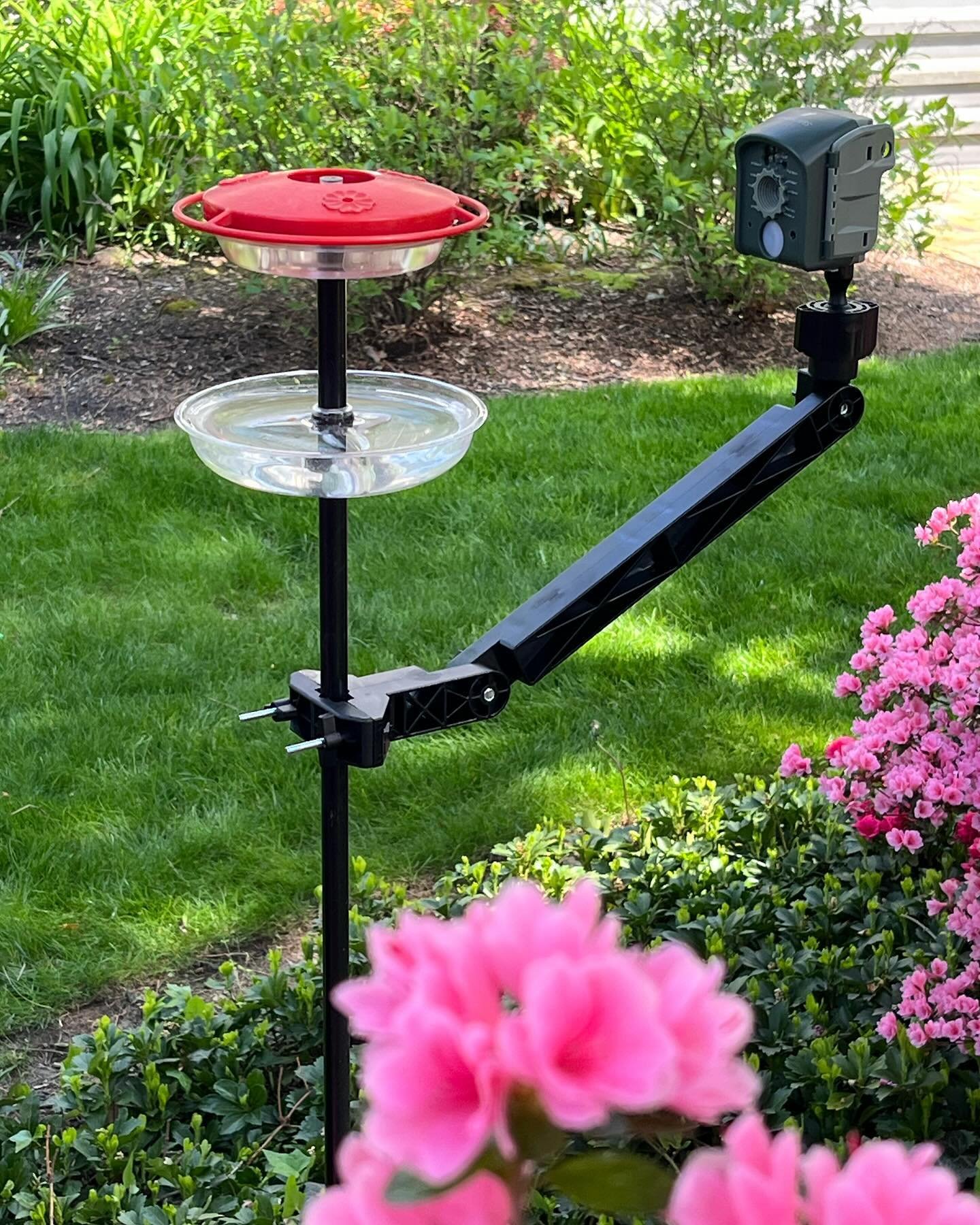 Our garden is blooming and the #hummingbirds are on their way, so it&rsquo;s time to set up our @wingscapes camera for the first time. Pole-mounting our nectar feeder makes for a perfectly stable platform, though in this image @theantmote is a bit hi