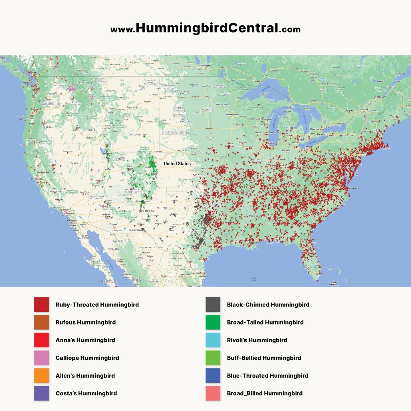 Hummingbirds have ARRIVED! Certainly for us in the Northeast and many other places throughout the US. Check out @hummingbirdcentral for their fantastic #hummingbird migration map. We look at this map daily in the spring to make sure we know when to p
