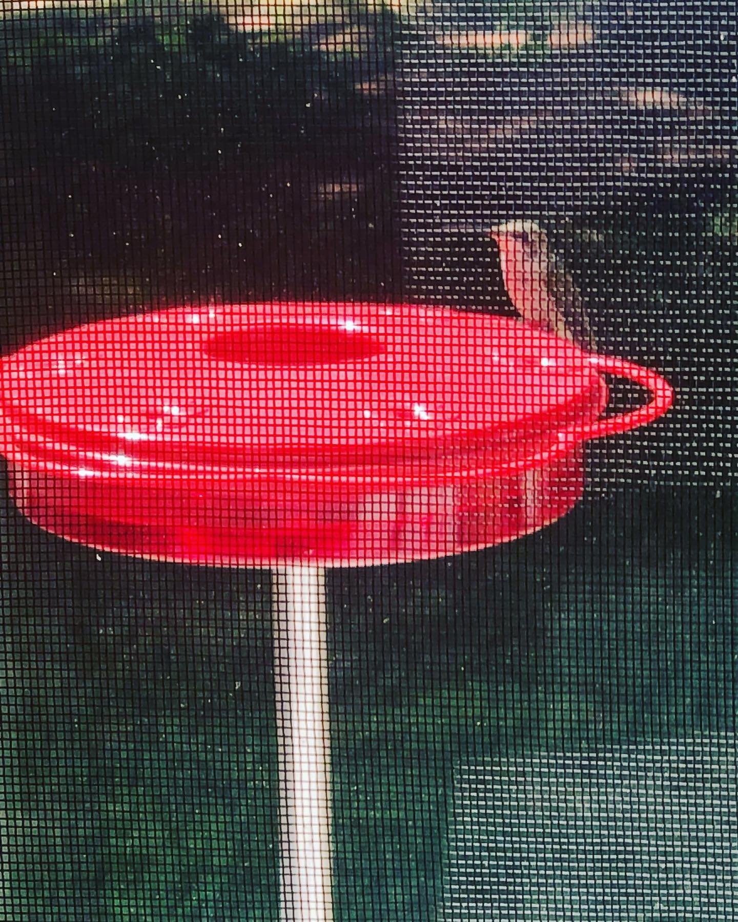 &ldquo;So l have a hummingbird who has been hanging around. Today he sat on the feeder for about 15 minutes. I'm so happy!&rdquo; Joanne D. in New Jersey

Speaking about The Ant-Mote&trade; has always been a little challenging because our primary goa