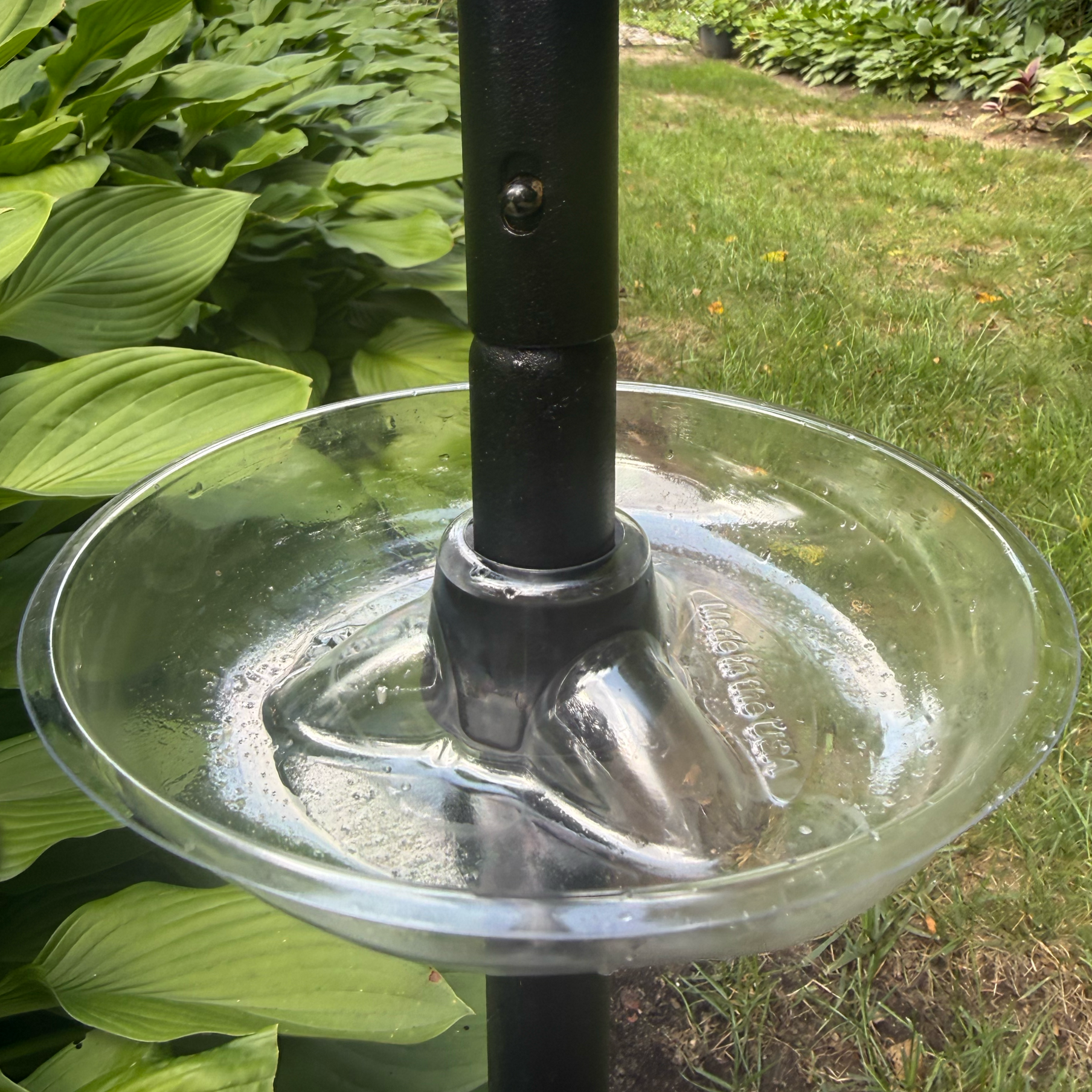 The Ant-Mote dish seated on its conical rubber bushing on a black feeder pole