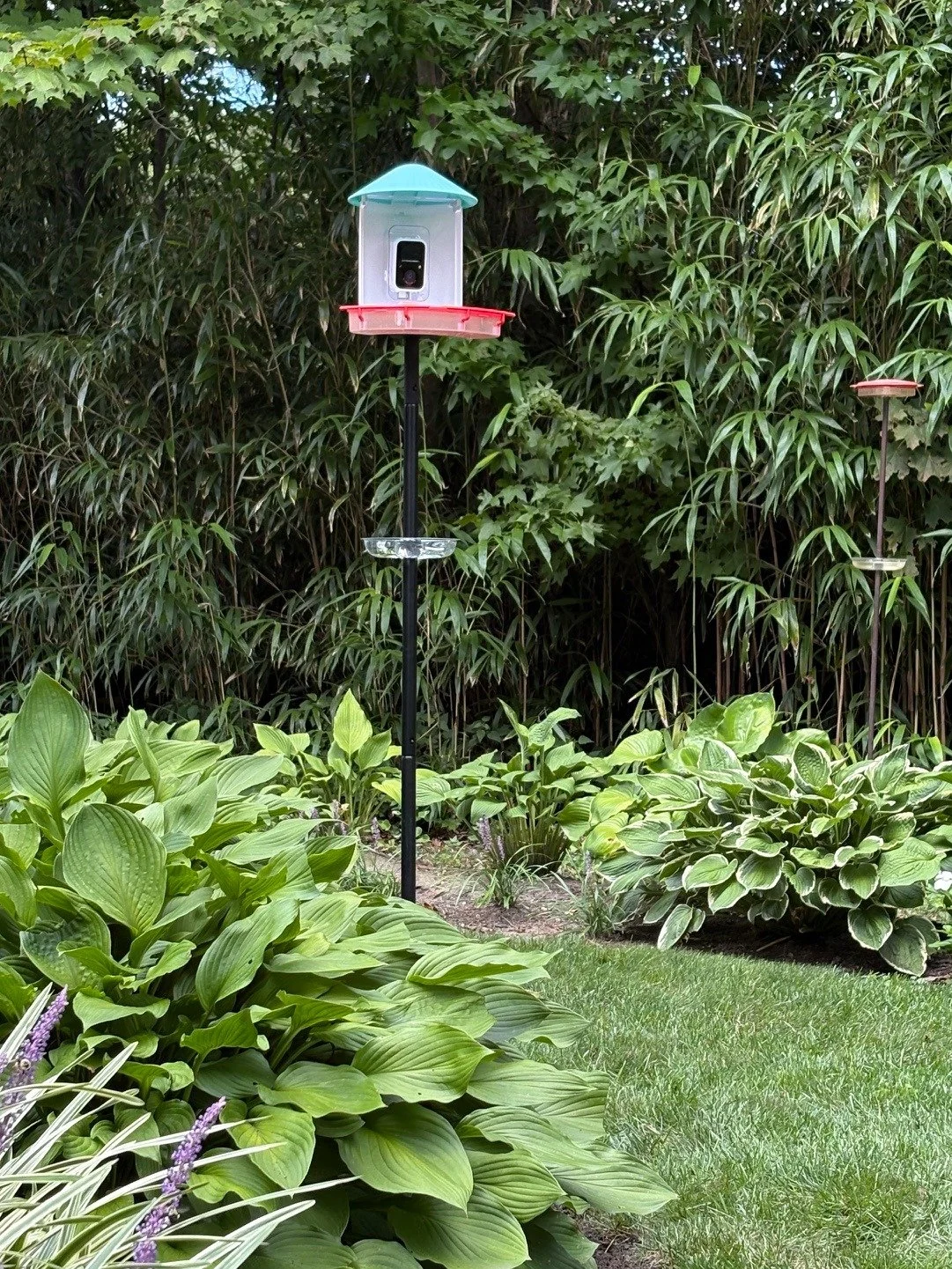 Smart bird feeder on a pole in a garden with The Ant-Mote mounted below it as a pole-mounted ant moat
