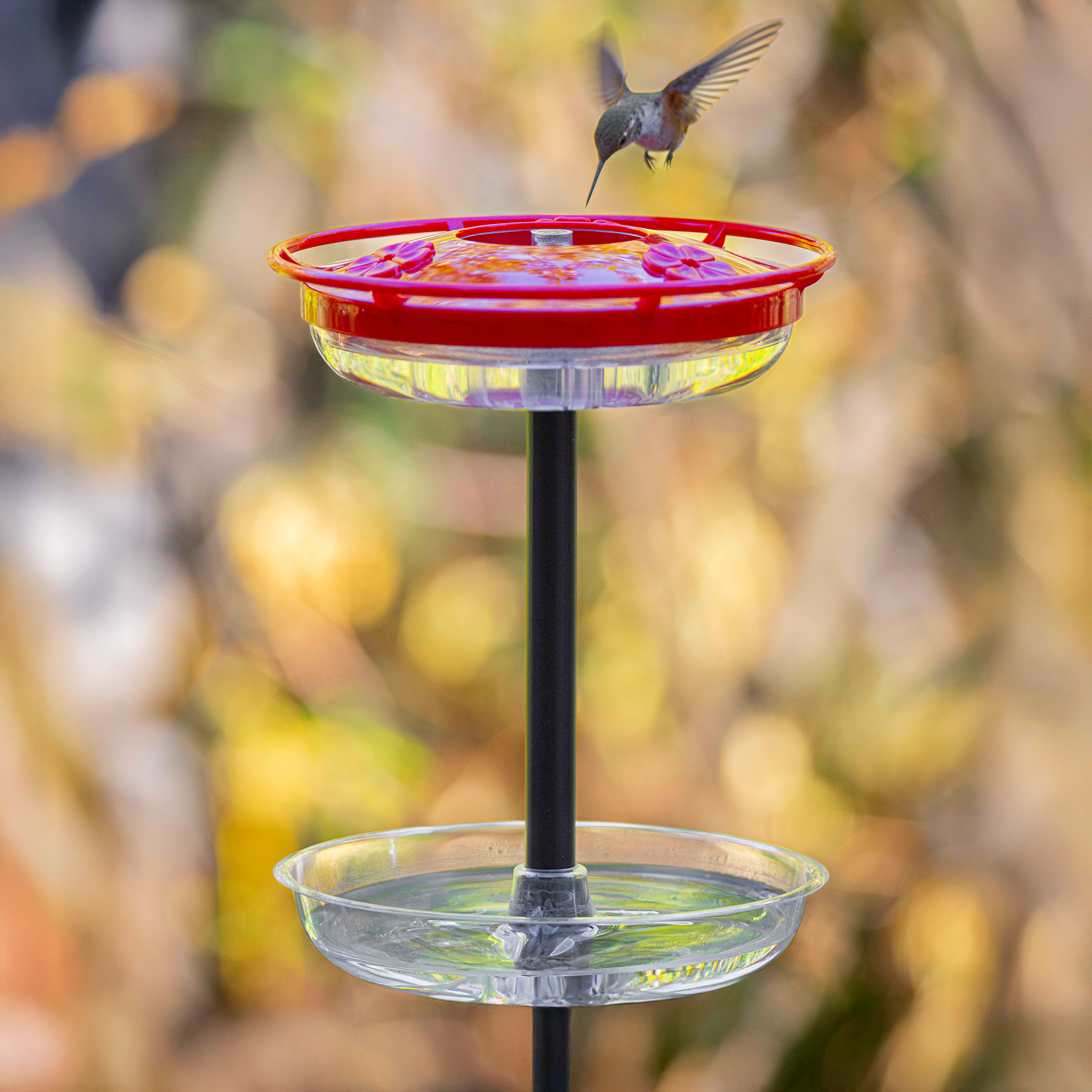 Hummingbird at a nectar feeder above The Ant-Mote on a garden pole