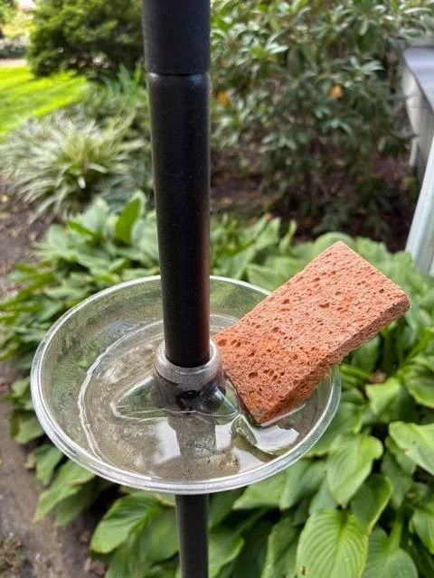 Sponge in The Ant-Mote dish, used to wipe dirt from the dish while it stays on the pole