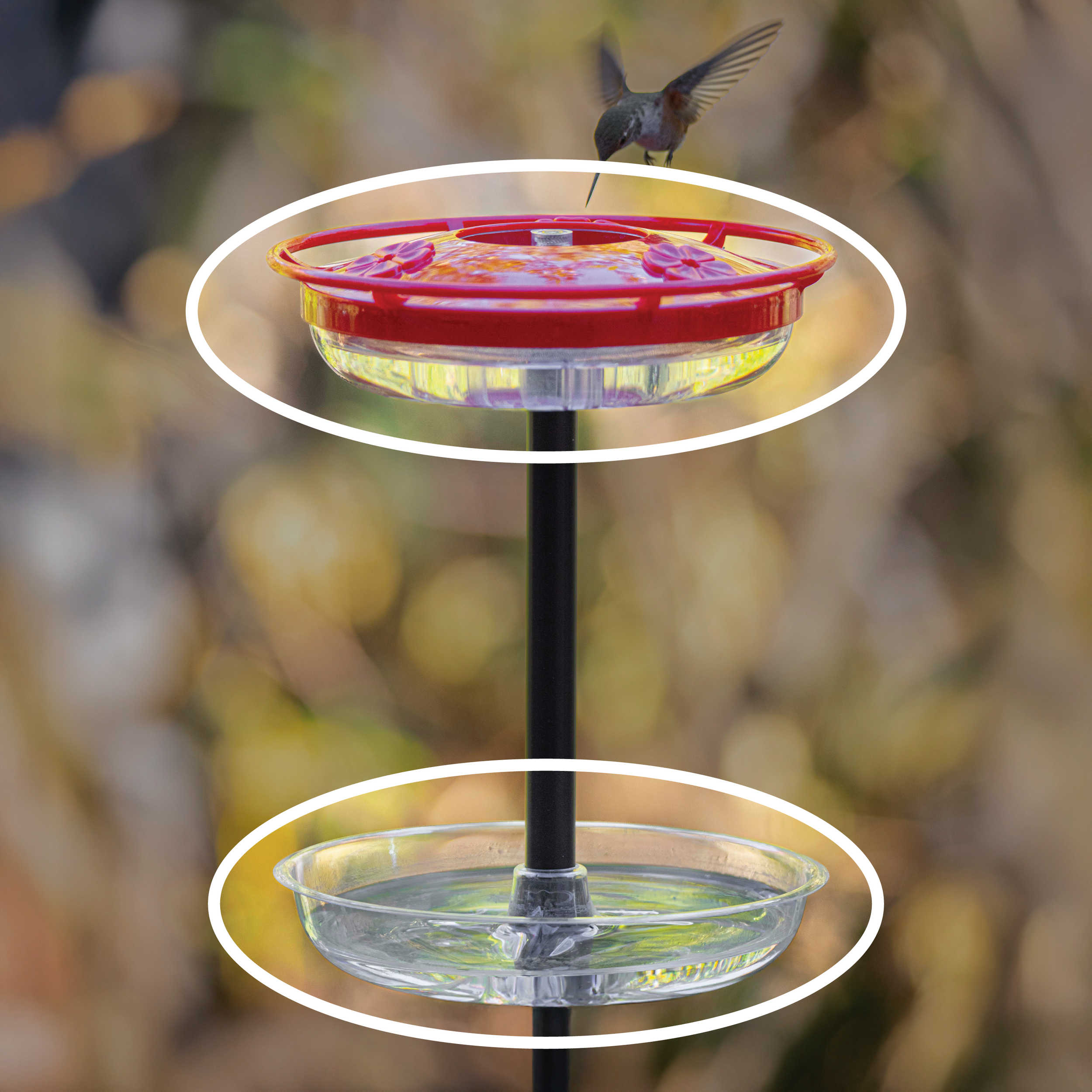 The Ant-Mote™ and Authentic Aspects Hummingbird Nectar Feeder