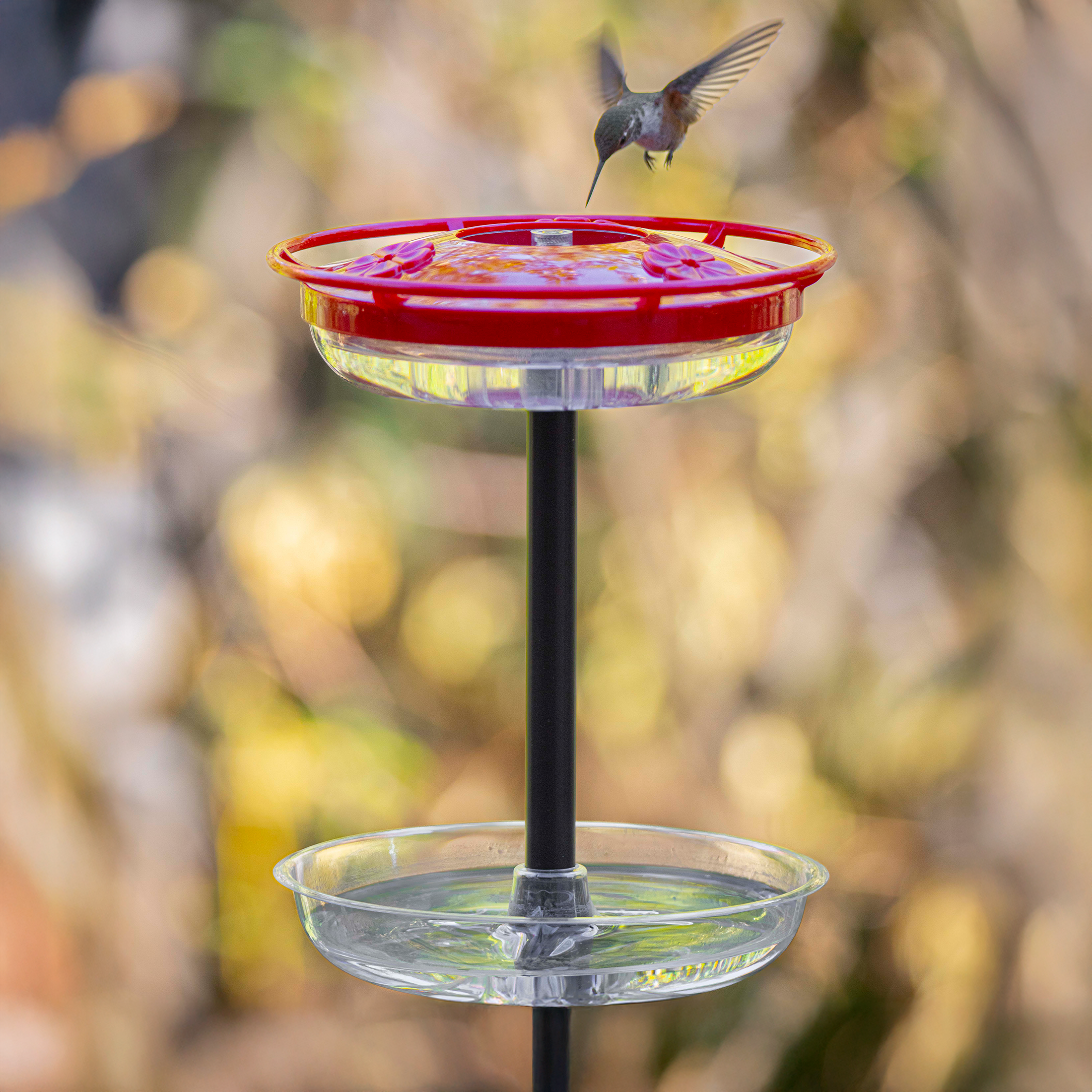 Complete Hummingbird Feeder kit with The Ant-Mote™  photographed by Greg Griffin