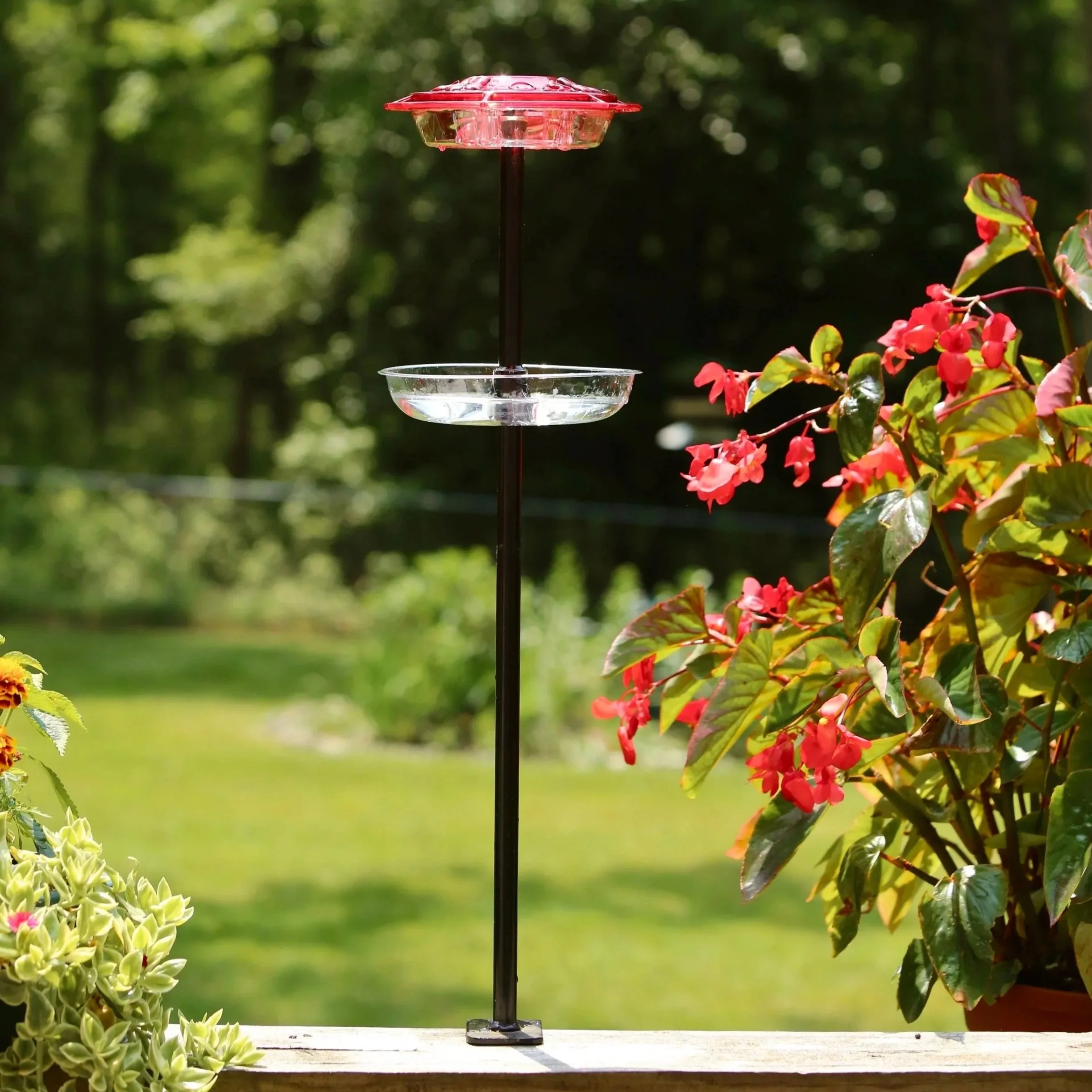 Complete Deck Rail Hummingbird Feeder Kit with The Ant-Mote