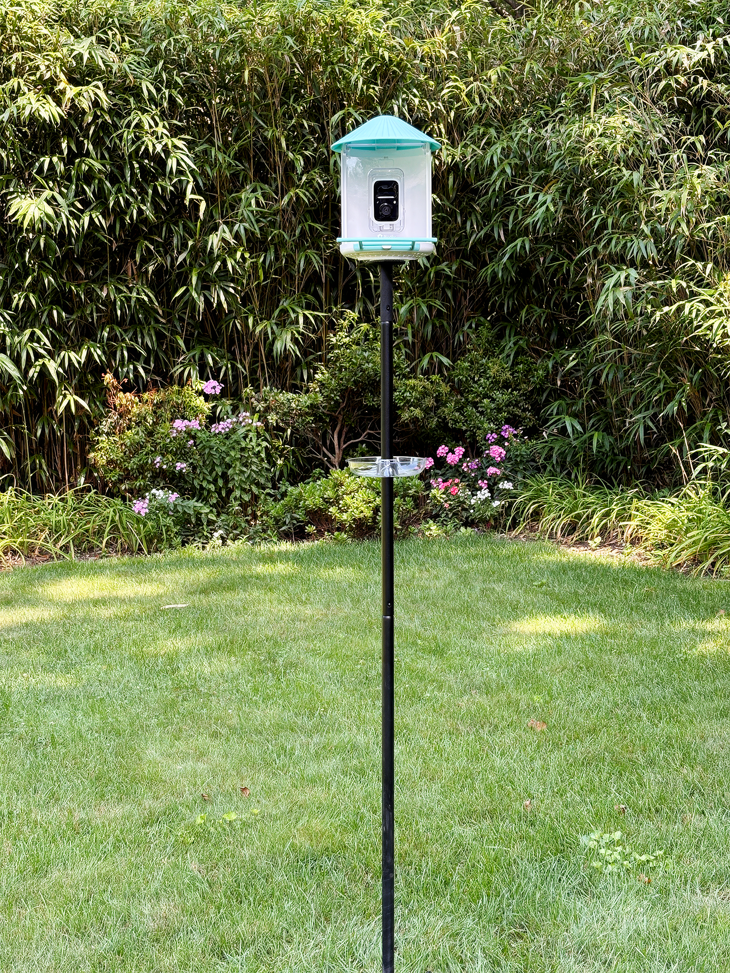 How to Keep Ants Out of Your Smart Bird Feeder