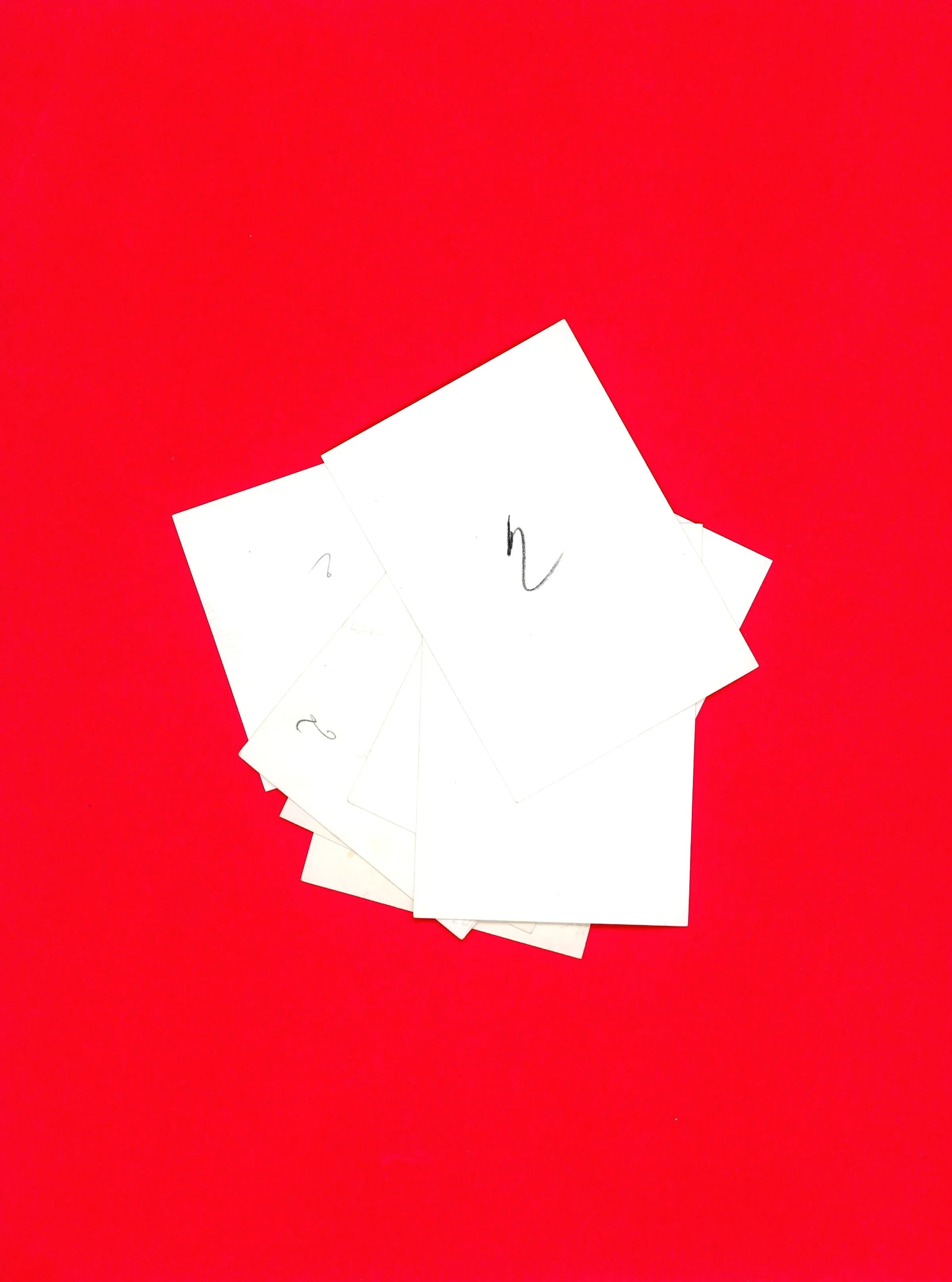 Different Layers of Visibility, 2025. Archival scan, inkjet on luster, 30 x 40 inches