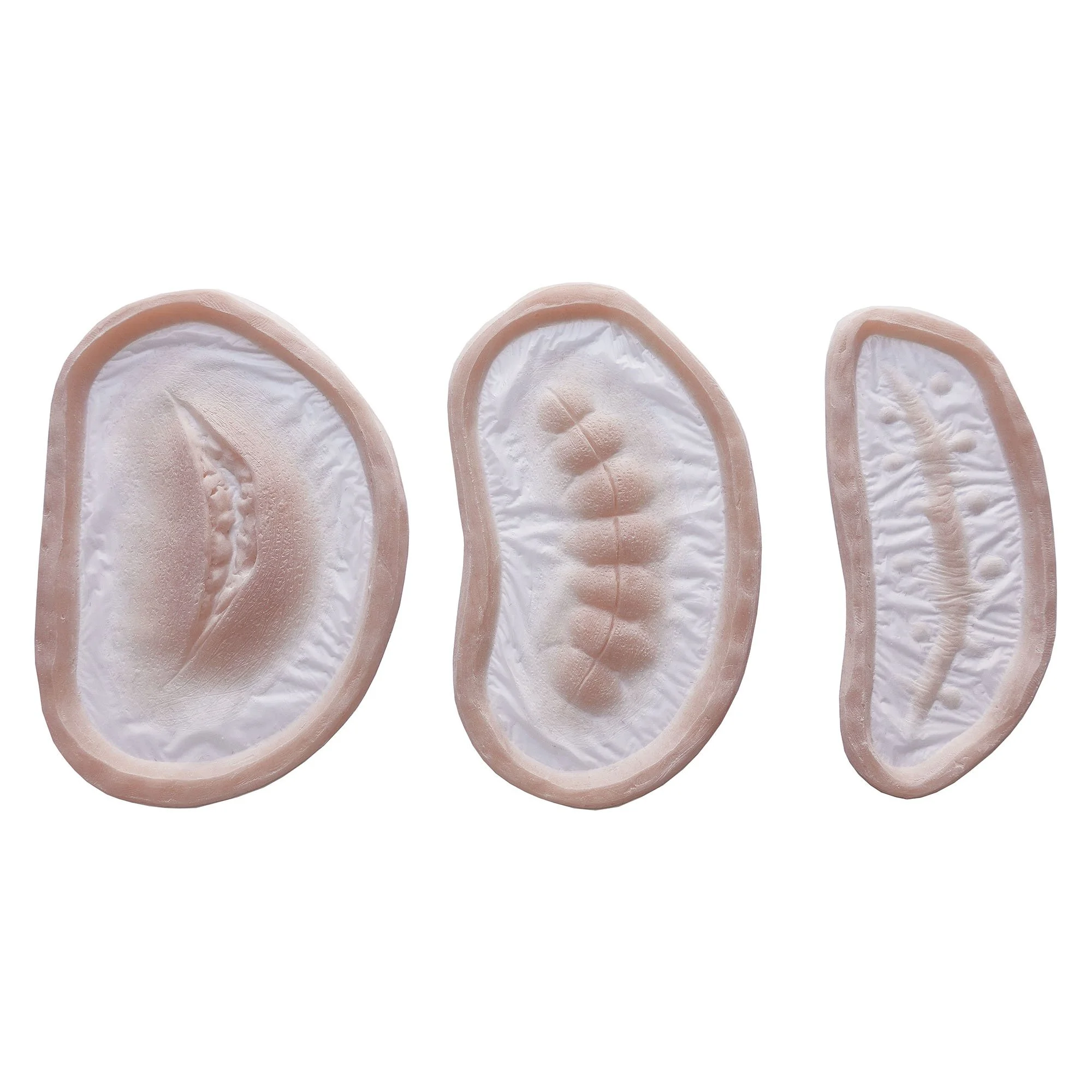 Continuity Wounds Set