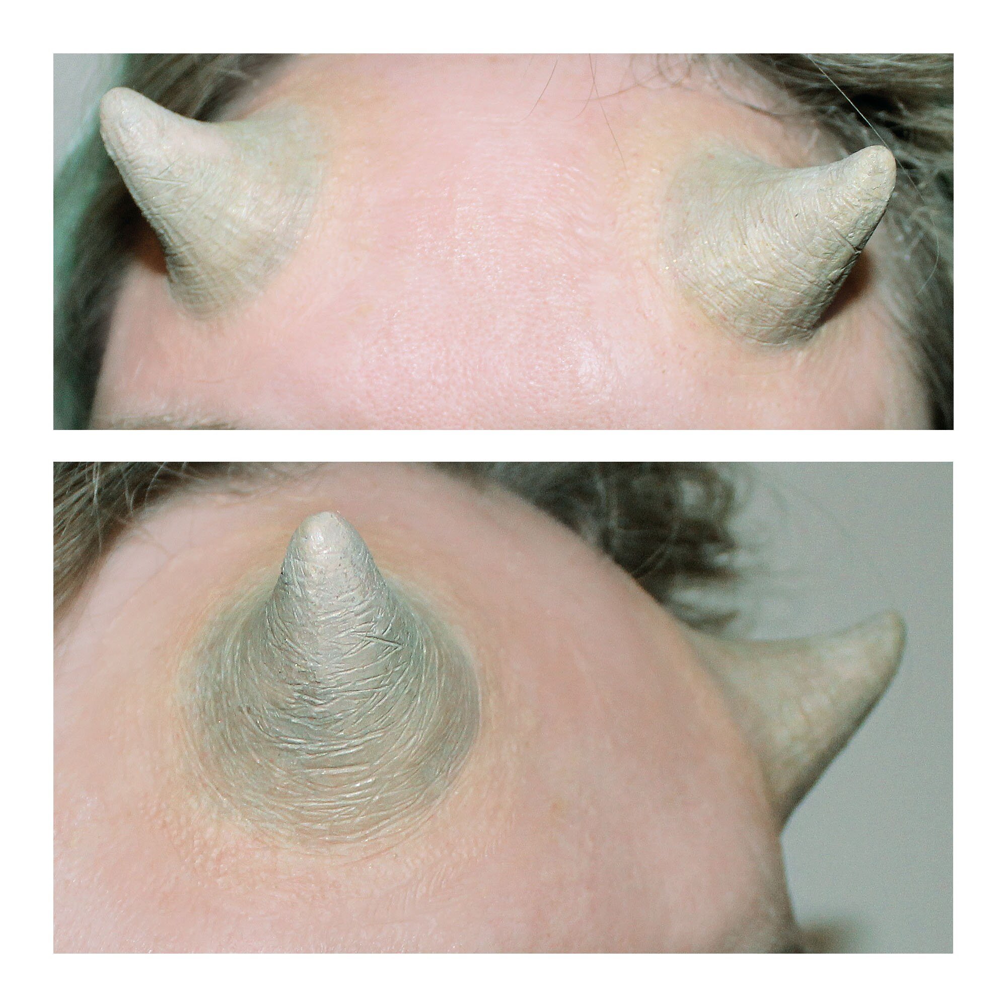 Medium Horns