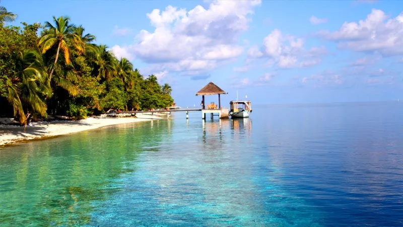 Banner_HouseReef_800x450_2.jpg