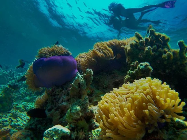 653x490-1.jpg