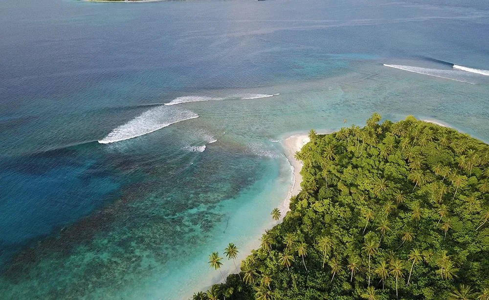 DJI_0145_1000x@3x.jpg