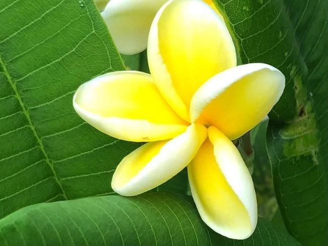 653x490-17.jpg