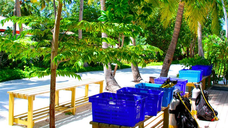 Banner_HouseReef_800x450_3.jpg