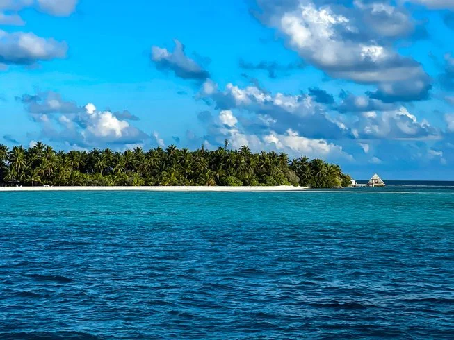 653x490-5.jpg