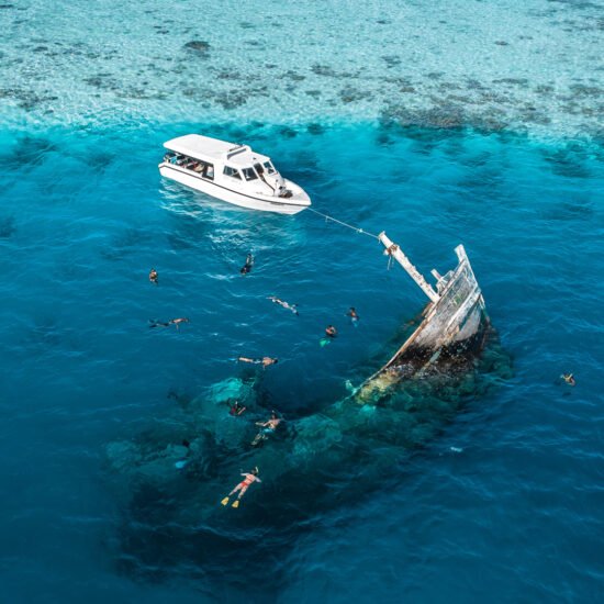 Shipwreck-Wow-Atoll-0023-1-550x550.jpg