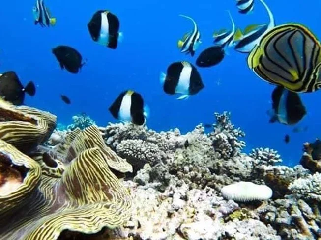 653x490-16.jpg