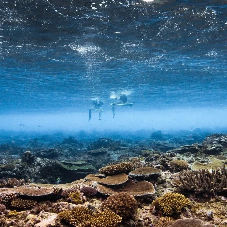 fiji-surfers.jpg