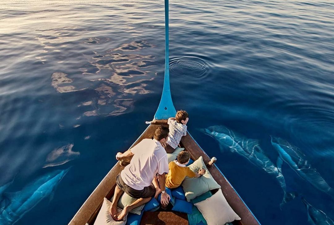 dolphin-monitoring-1080x729.jpg