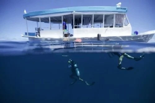 Divers-and-Dhoni-scaled-500x333.jpg