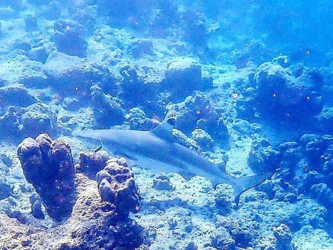 653x490-20.jpg