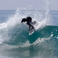 surfing-small-231x231.jpg