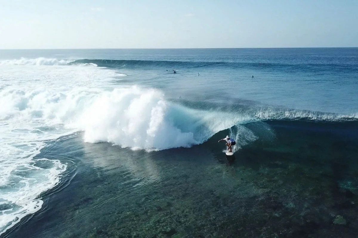 Carpe-Surf-1.jpg
