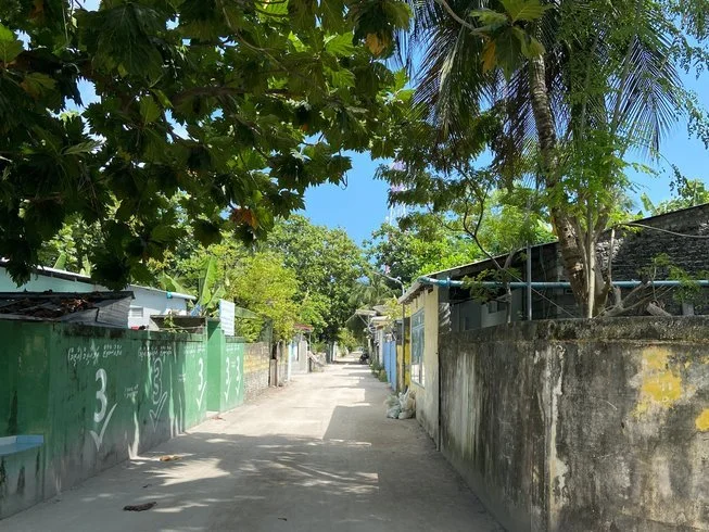653x490-12.jpg