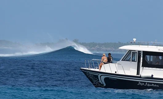 surfing-530x320-staywithus.jpg