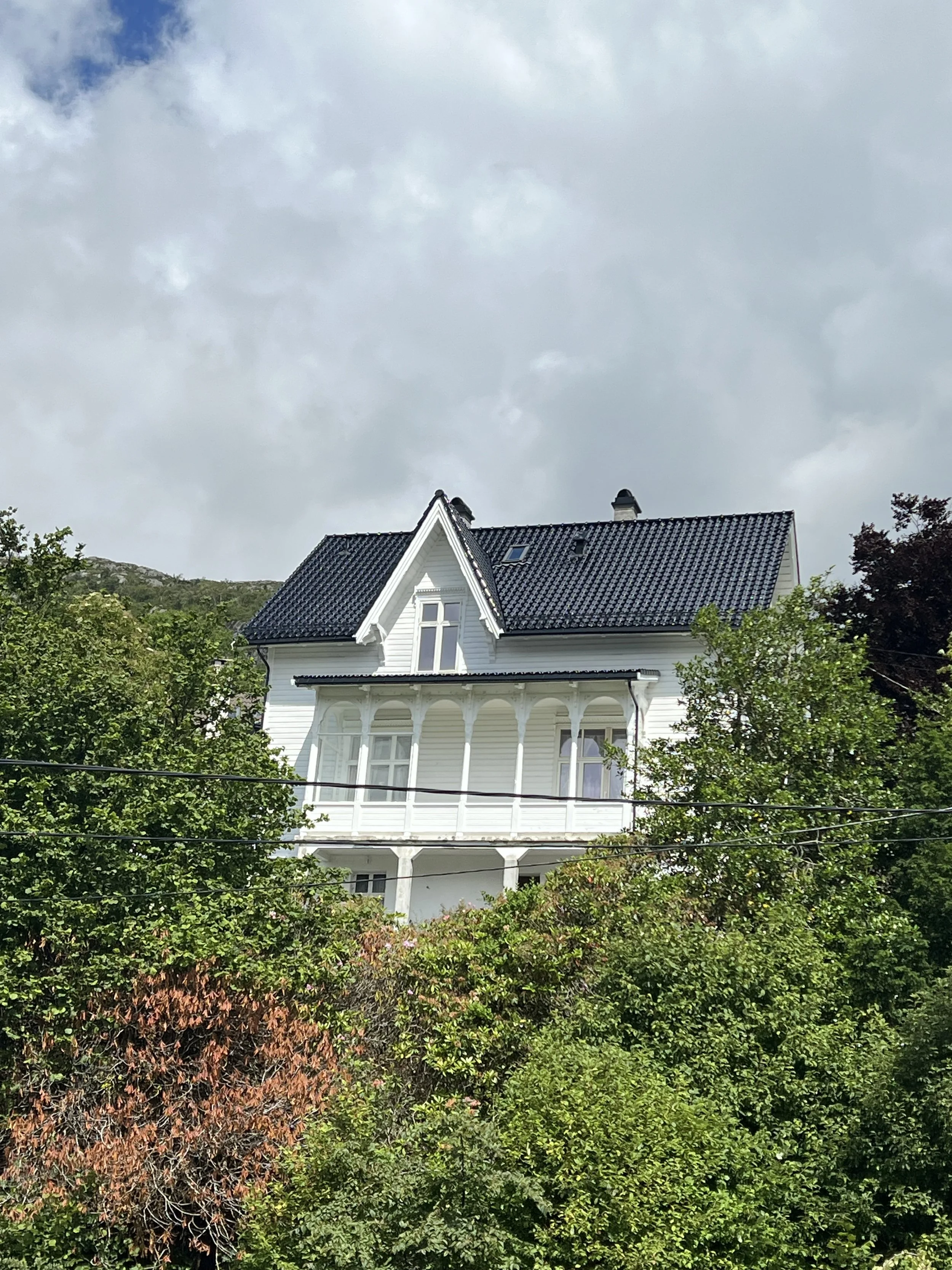 Totalrenovering Blaauws vei: Fasade.