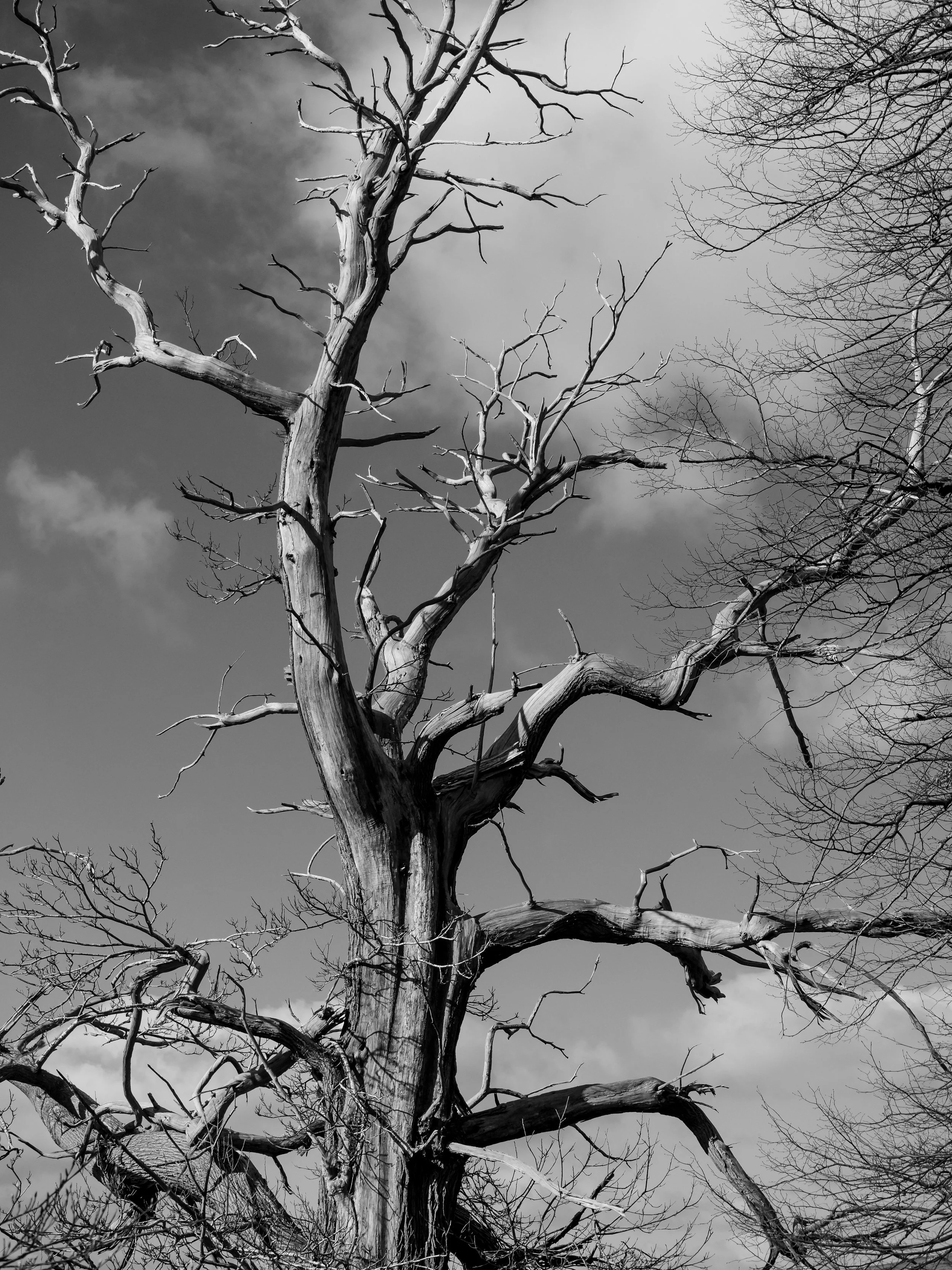 Reaching Out