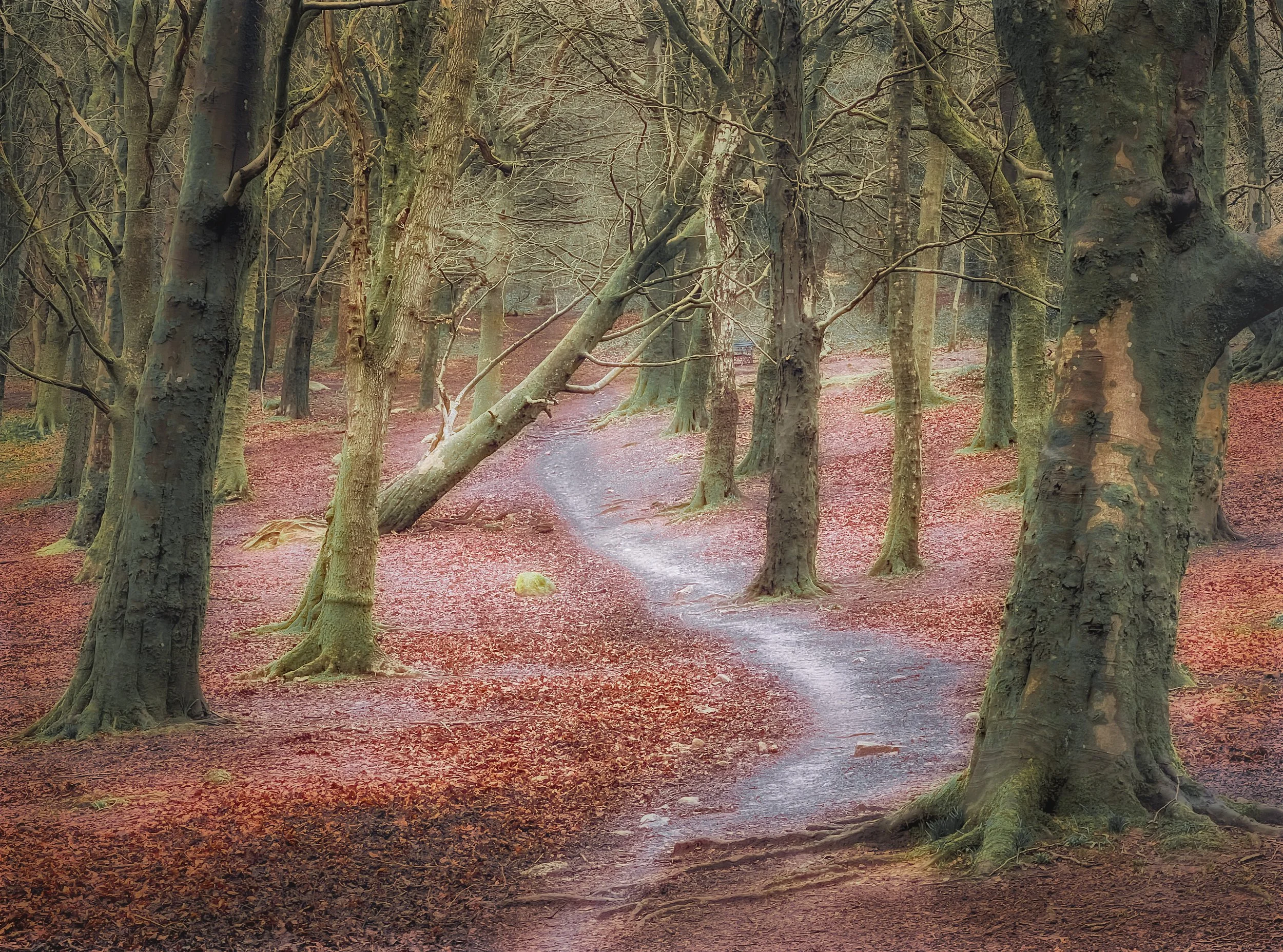 Pathways