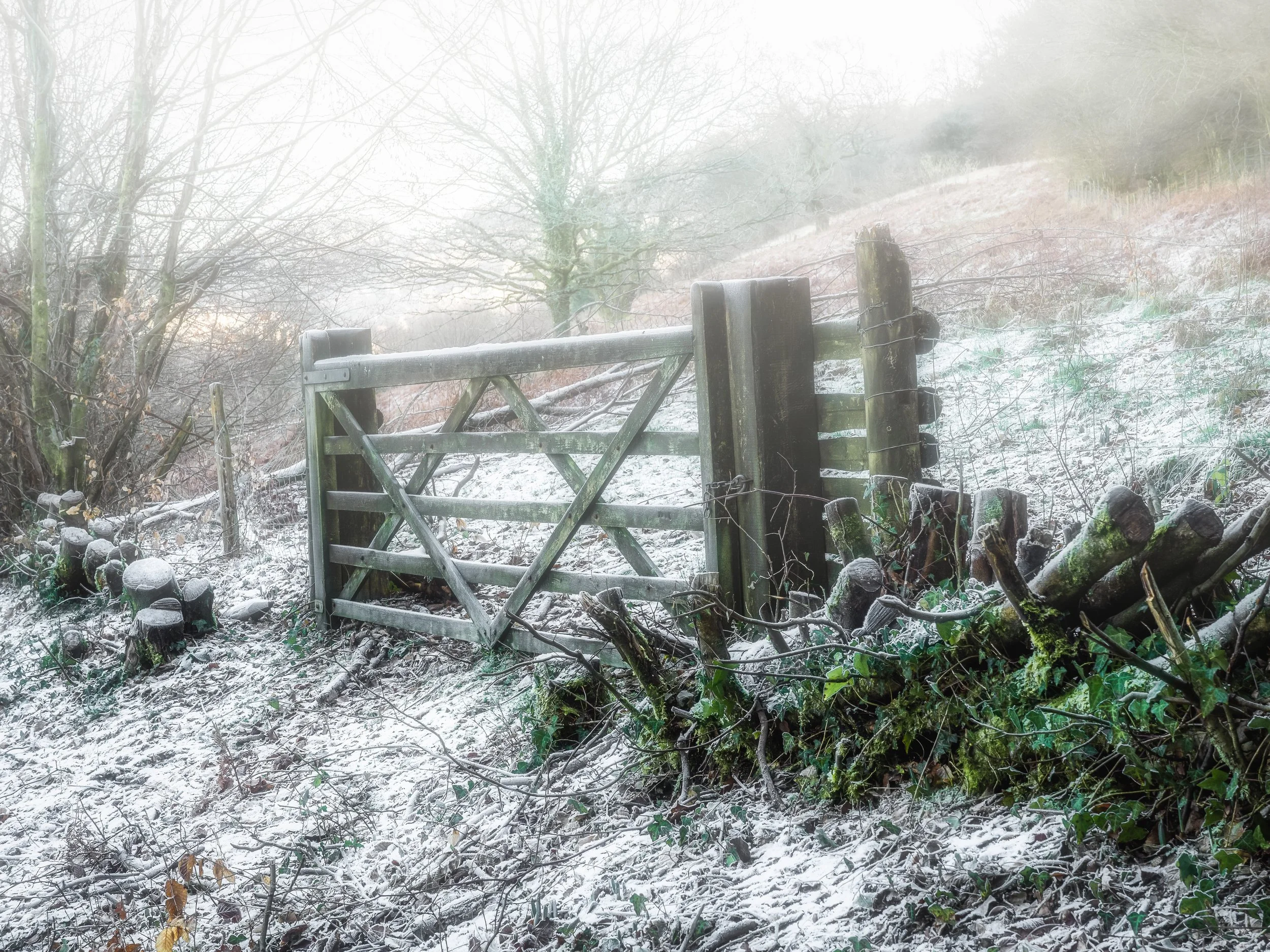 Frosty Gate