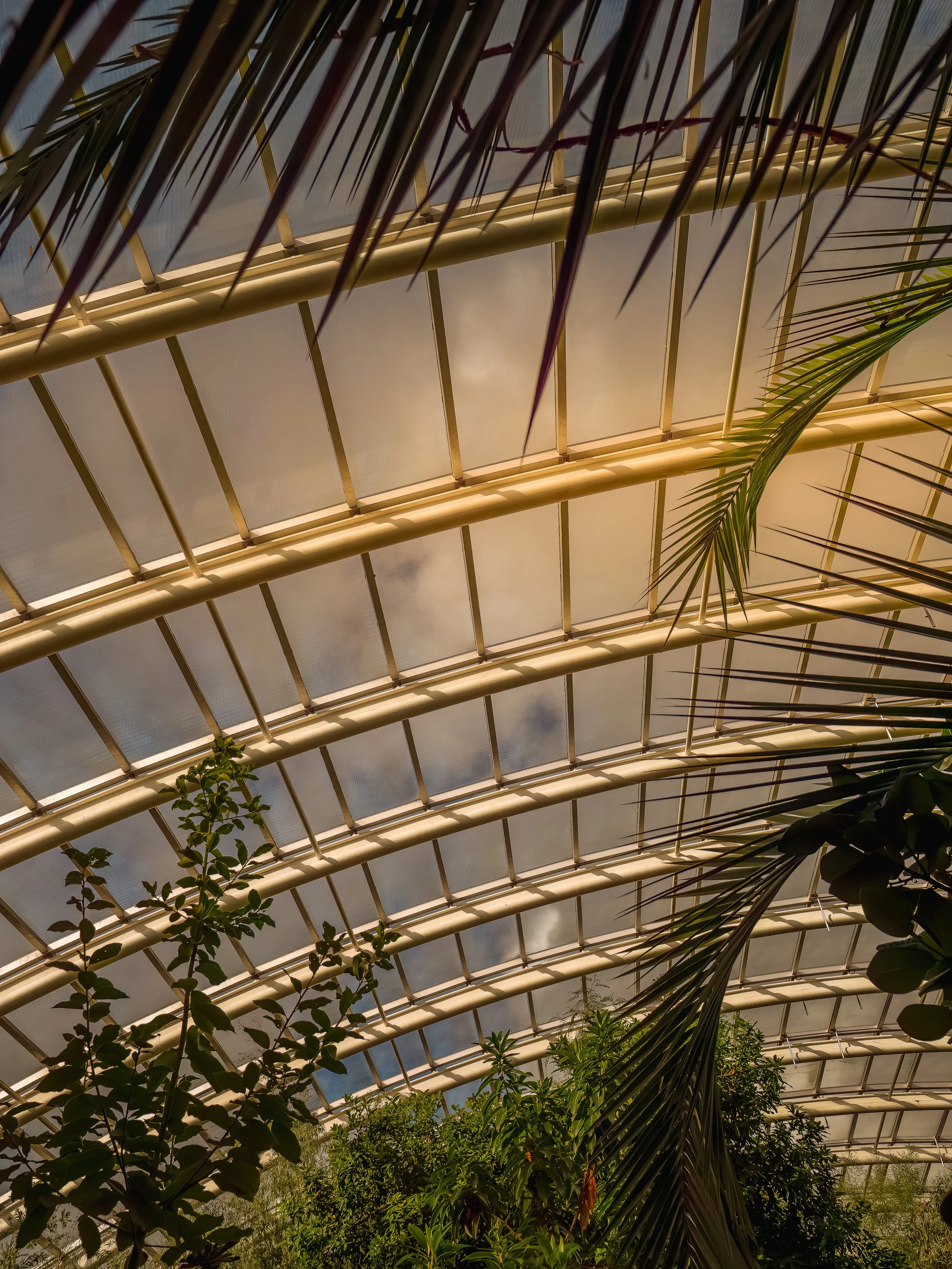Roof Top National Botanical Gardens Wales