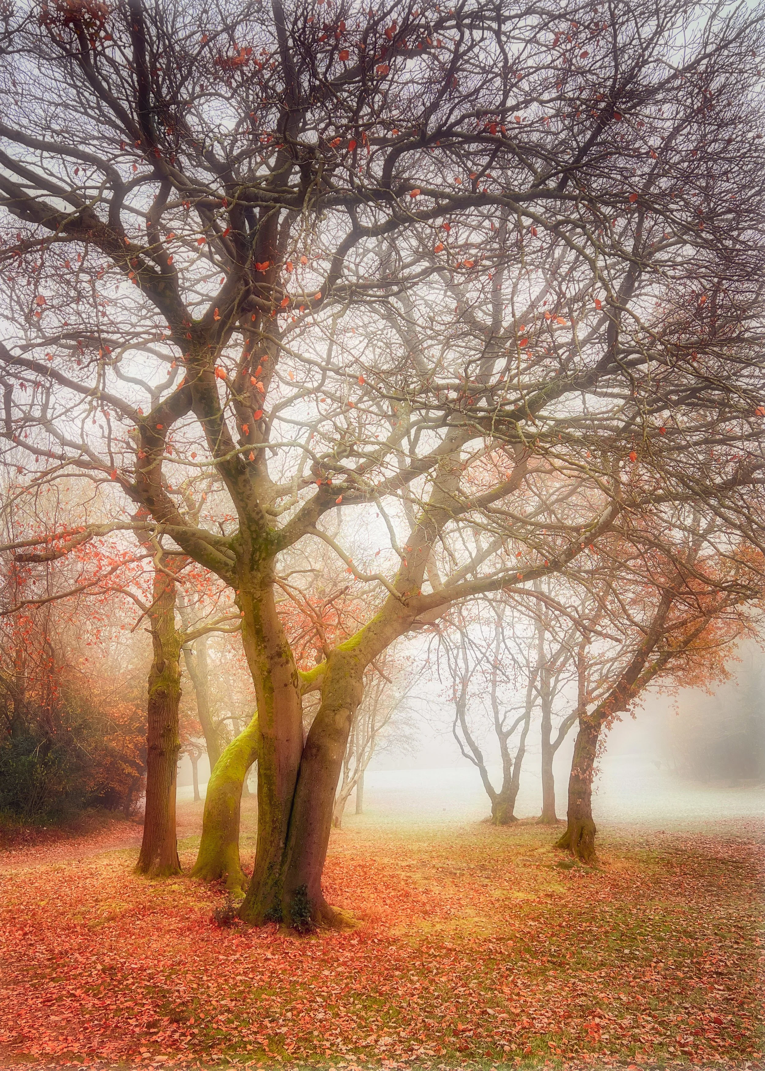 End of Autumn 1