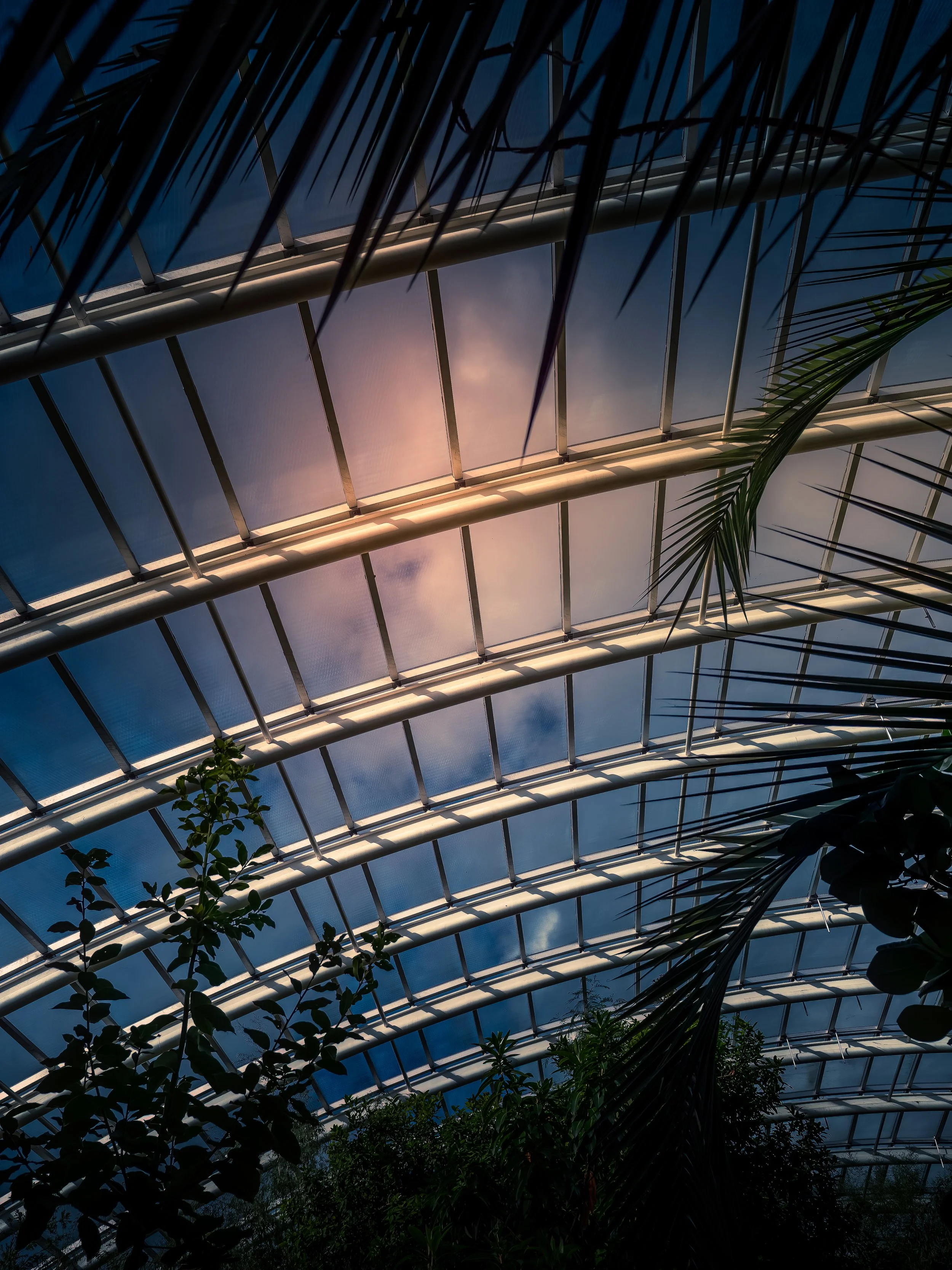 Roof Top National Botatincal Gardens, Wales, Shaded