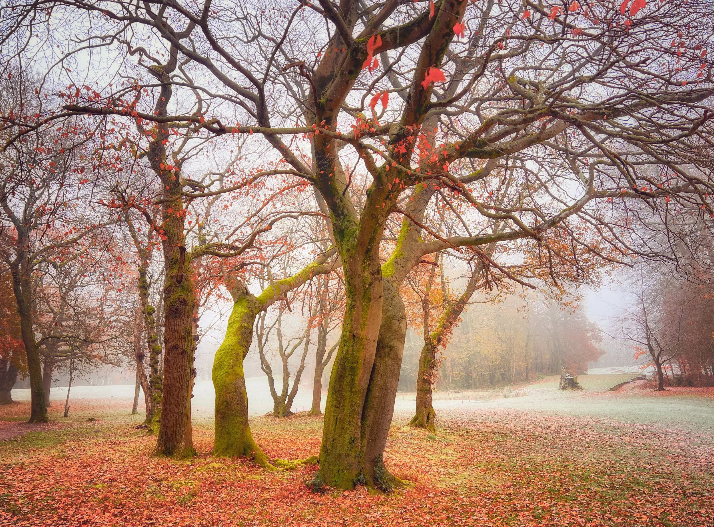 The End of Autumn 2