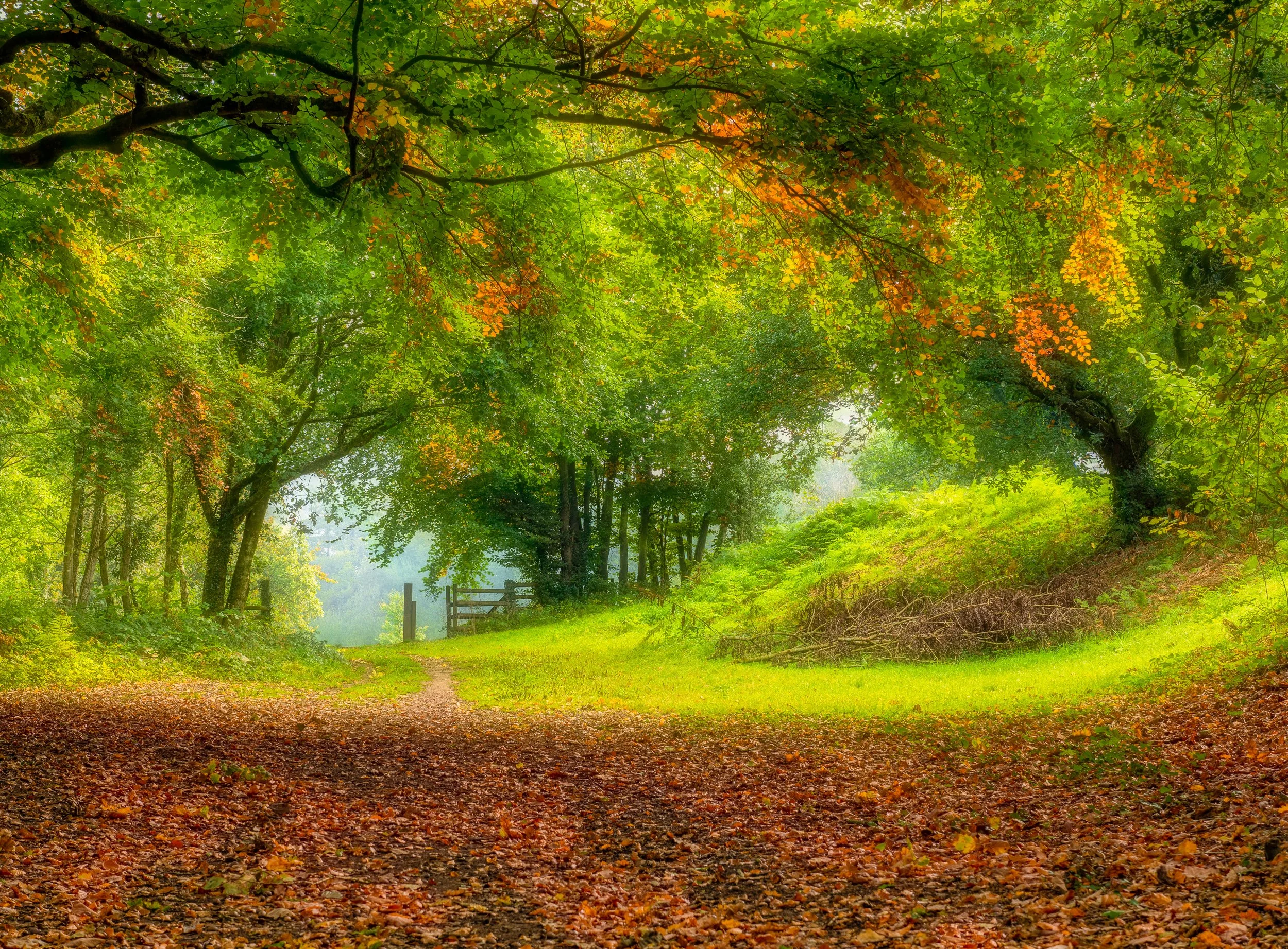 Autumns Archway