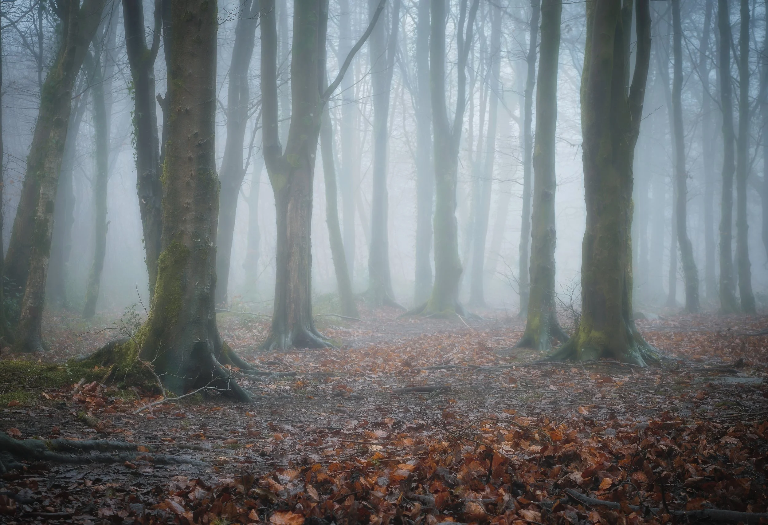 It's Out There Somewhere