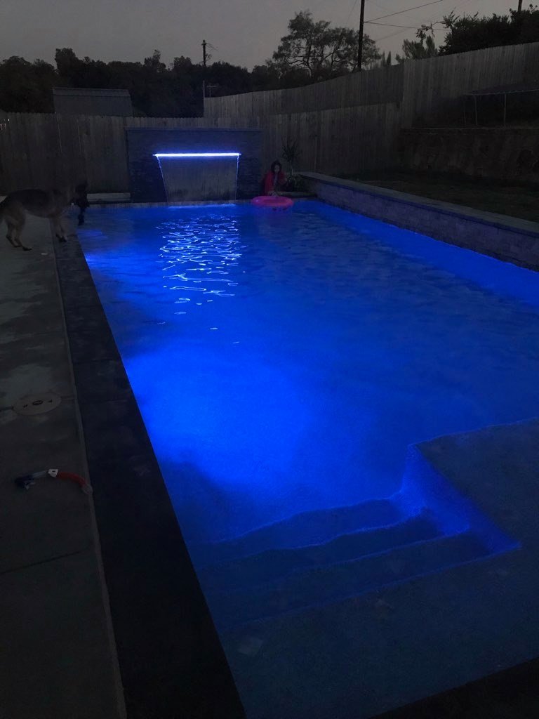 Wood-Pool-04.jpeg