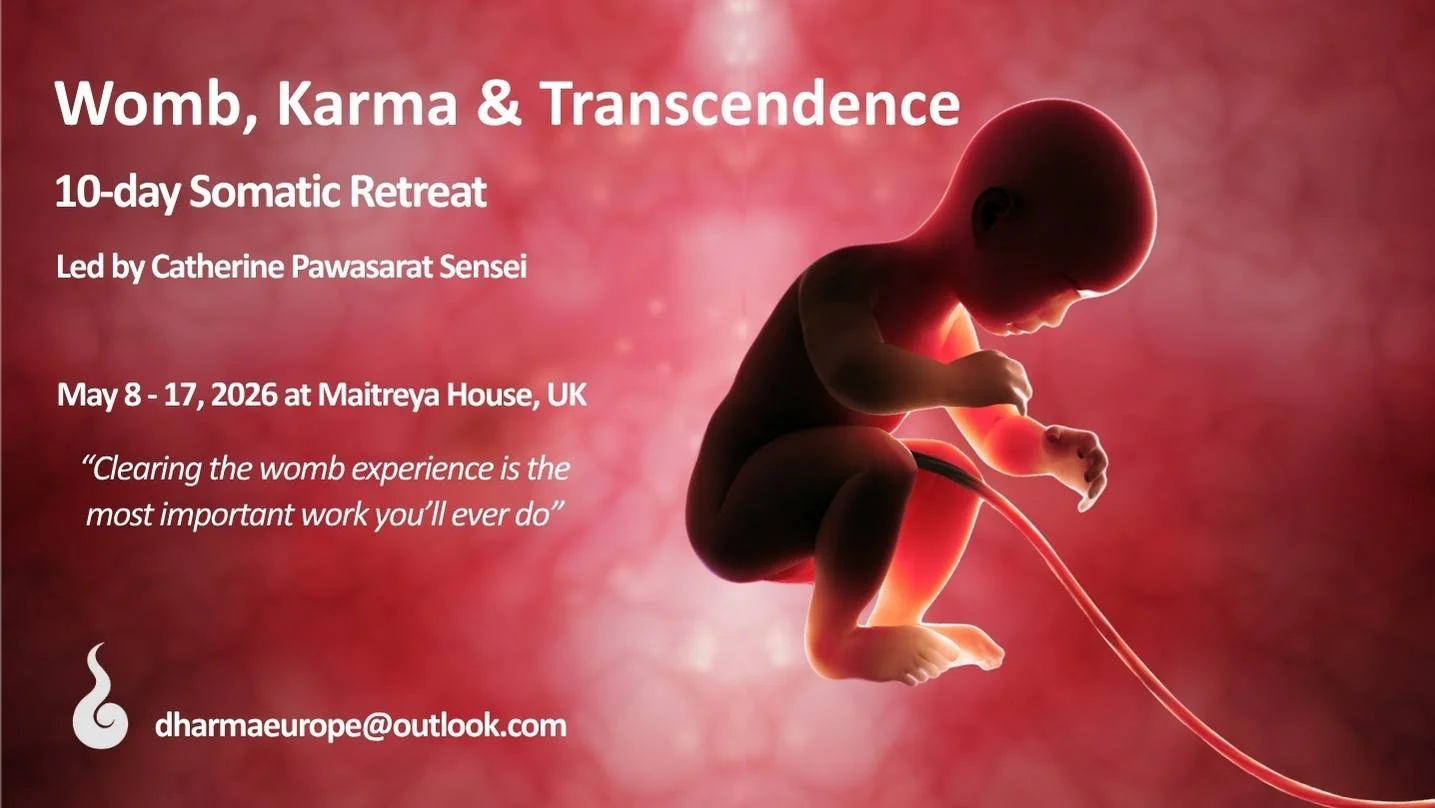 a dark outline of a baby floating in pink womb